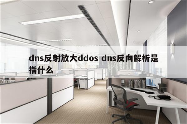dns反射放大ddos dns反向解析是指什么