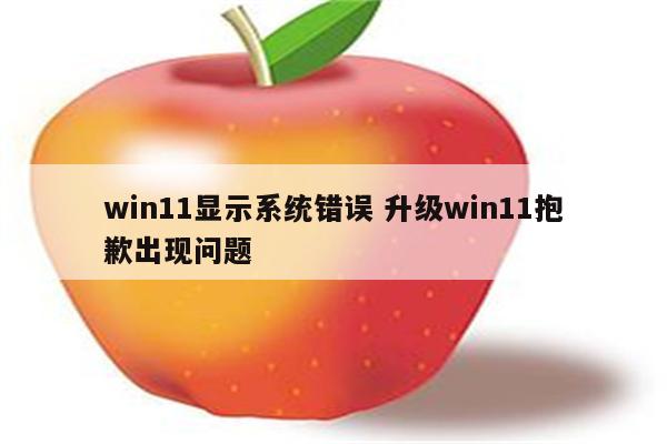 详细阅读:win11显示系统错误 升级win11抱歉出现问题 win11显示系统错误 升级win11抱歉出现问题