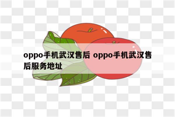 oppo手机武汉售后 oppo手机武汉售后服务地址
