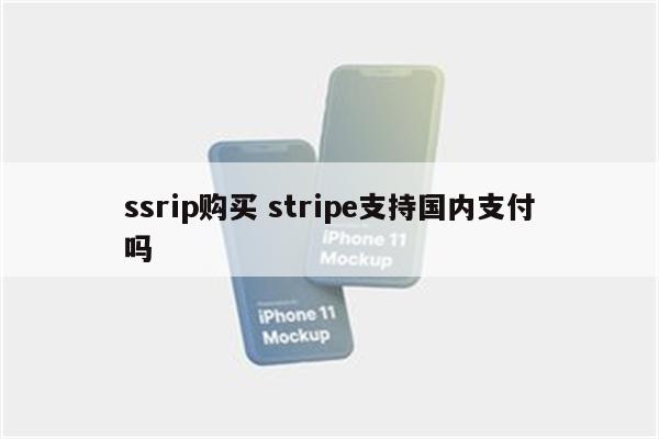 ssrip购买 stripe支持国内支付吗