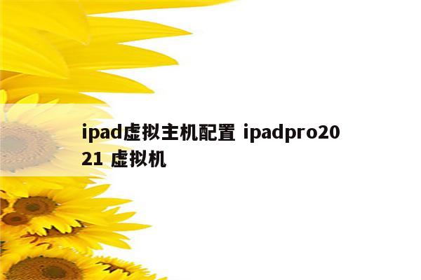 ipad虚拟主机配置 ipadpro2021 虚拟机