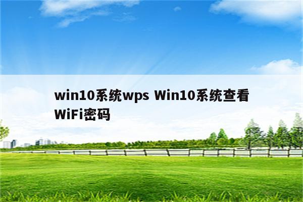 win10系统wps Win10系统查看WiFi密码