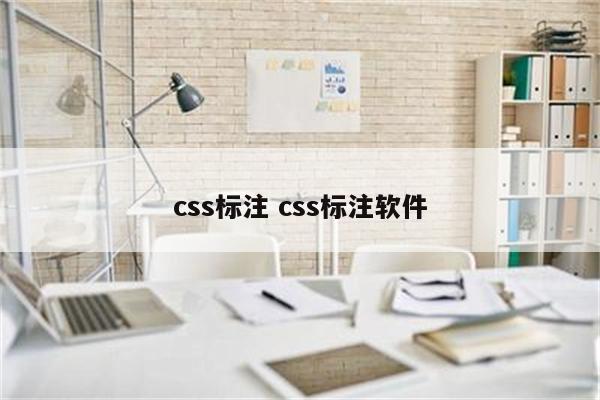 css标注 css标注软件