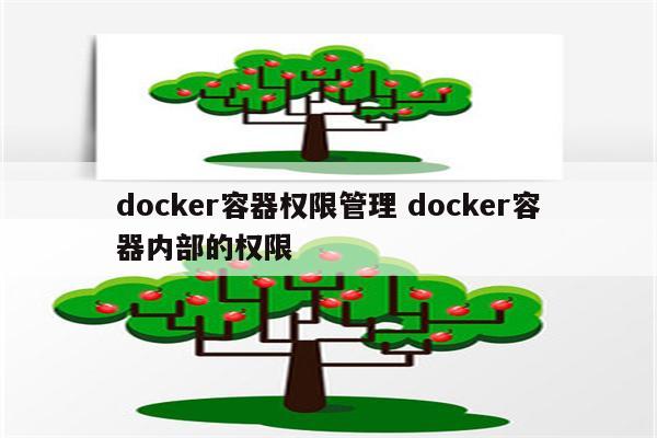 docker容器权限管理 docker容器内部的权限