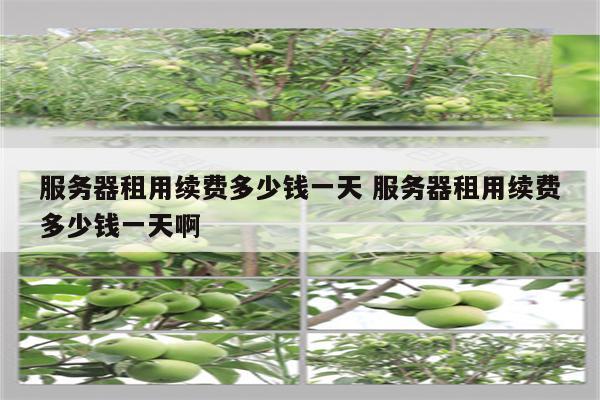 服务器租用续费多少钱一天 服务器租用续费多少钱一天啊