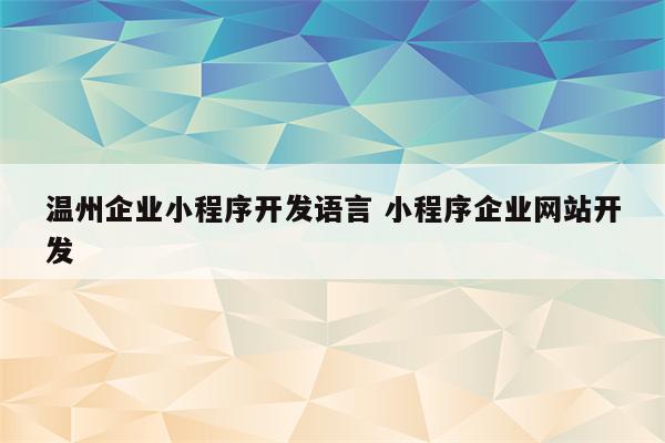 温州企业小程序开发语言 小程序企业网站开发