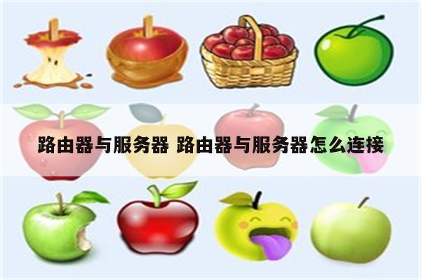 路由器与服务器 路由器与服务器怎么连接