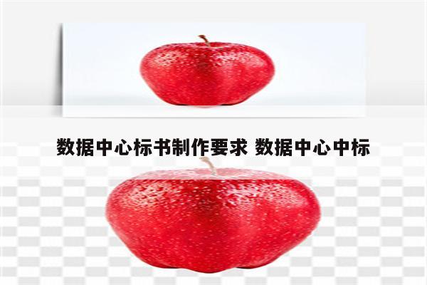 数据中心标书制作要求 数据中心中标