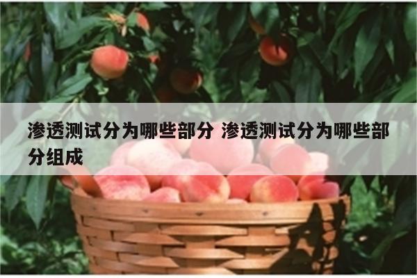 渗透测试分为哪些部分 渗透测试分为哪些部分组成