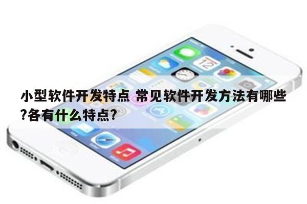 小型软件开发特点 常见软件开发方法有哪些?各有什么特点?