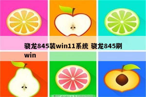 骁龙845装win11系统 骁龙845刷win