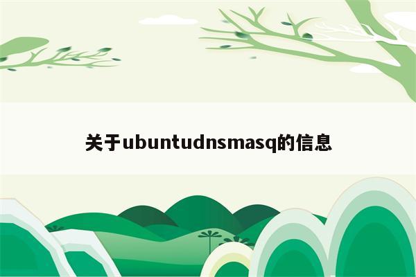 关于ubuntudnsmasq的信息