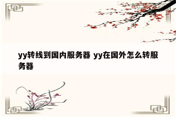 yy转线到国内服务器 yy在国外怎么转服务器