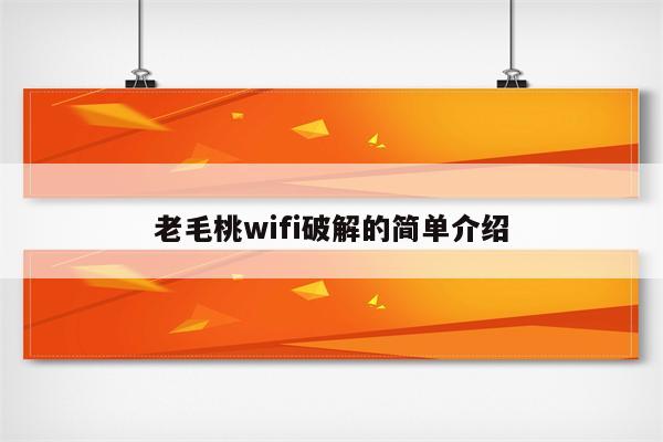 老毛桃wifi破解的简单介绍