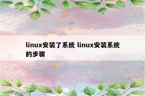 linux安装了系统 linux安装系统的步骤