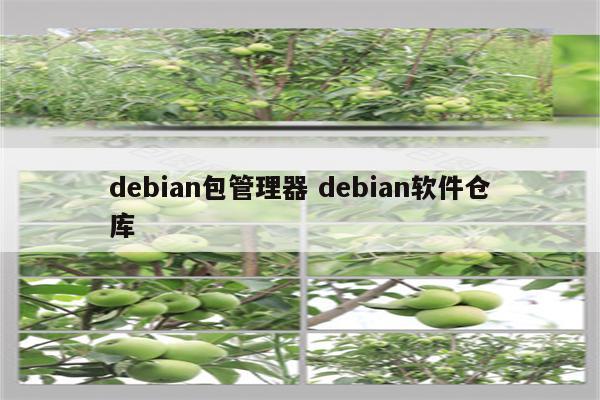 debian包管理器 debian软件仓库