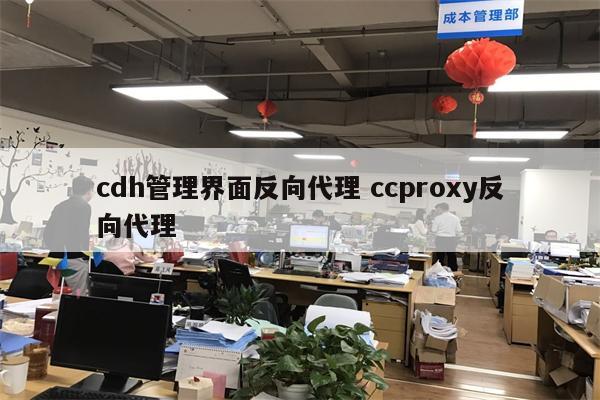 cdh管理界面反向代理 ccproxy反向代理