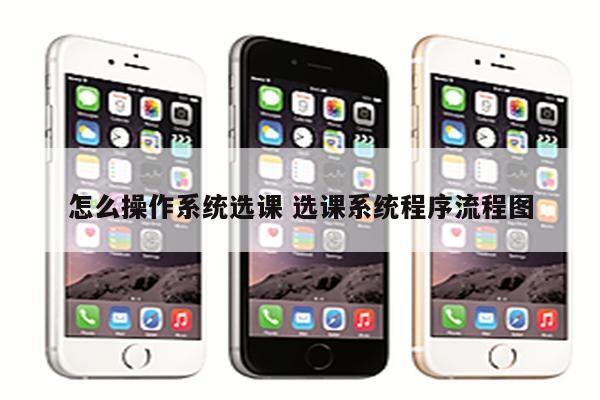 怎么操作系统选课 选课系统程序流程图