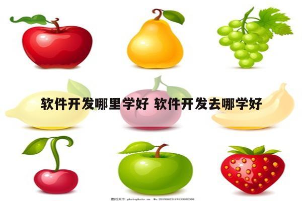 软件开发哪里学好 软件开发去哪学好