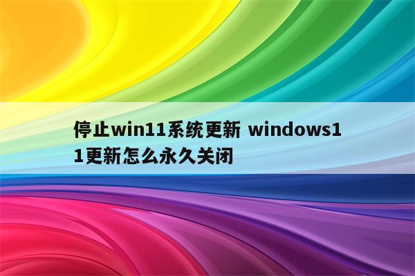停止win11系统更新 windows11更新怎么永久关闭