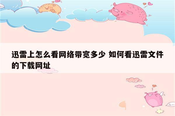 迅雷上怎么看网络带宽多少 如何看迅雷文件的下载网址
