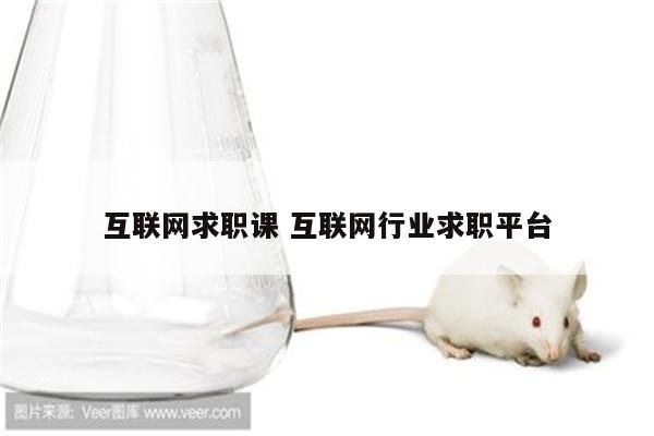 互联网求职课 互联网行业求职平台