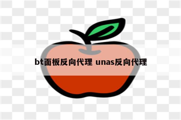 bt面板反向代理 unas反向代理