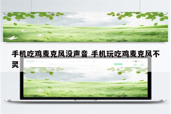 手机吃鸡麦克风没声音 手机玩吃鸡麦克风不灵