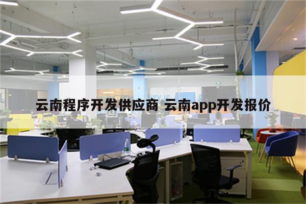 云南程序开发供应商 云南app开发报价