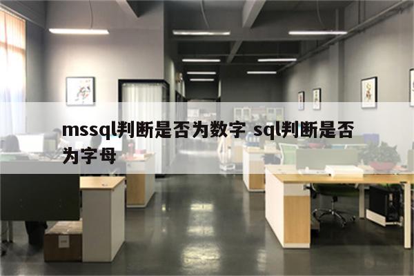 mssql判断是否为数字 sql判断是否为字母