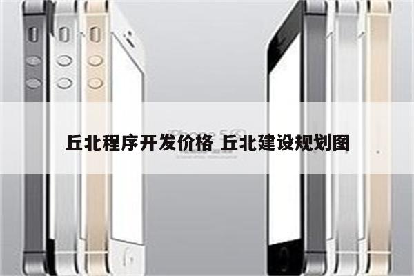 丘北程序开发价格 丘北建设规划图