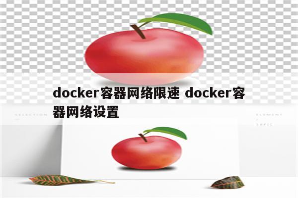 docker容器网络限速 docker容器网络设置