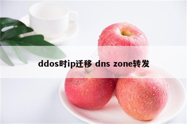 ddos时ip迁移 dns zone转发