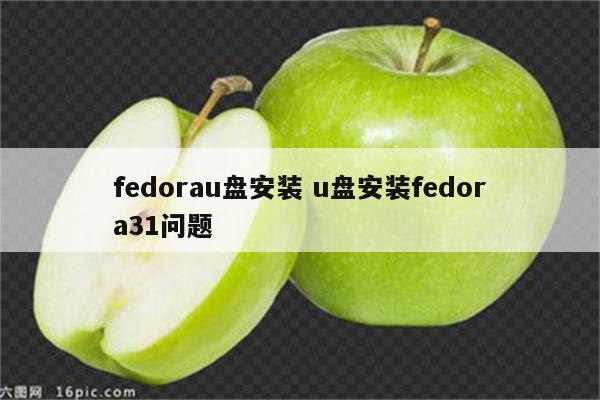 fedorau盘安装 u盘安装fedora31问题