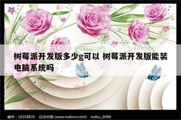 树莓派开发版多少g可以 树莓派开发版能装电脑系统吗