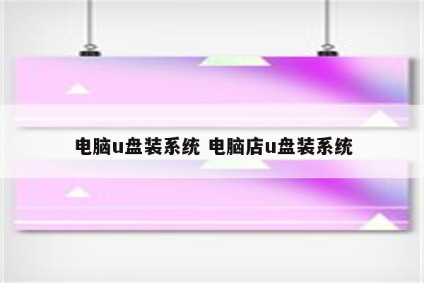 电脑u盘装系统 电脑店u盘装系统