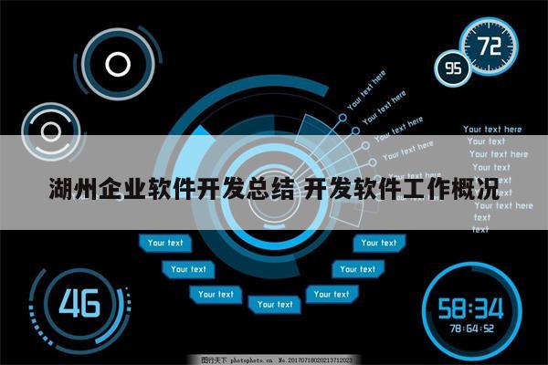 湖州企业软件开发总结 开发软件工作概况