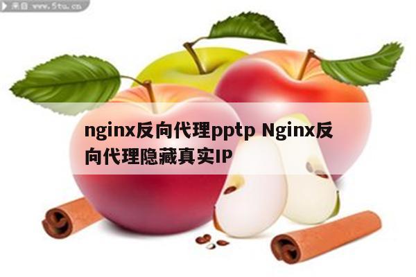nginx反向代理pptp Nginx反向代理隐藏真实IP