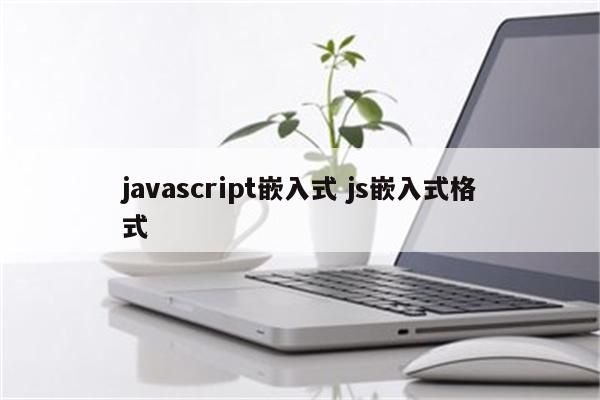 javascript嵌入式 js嵌入式格式