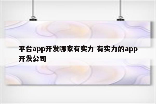 平台app开发哪家有实力 有实力的app开发公司