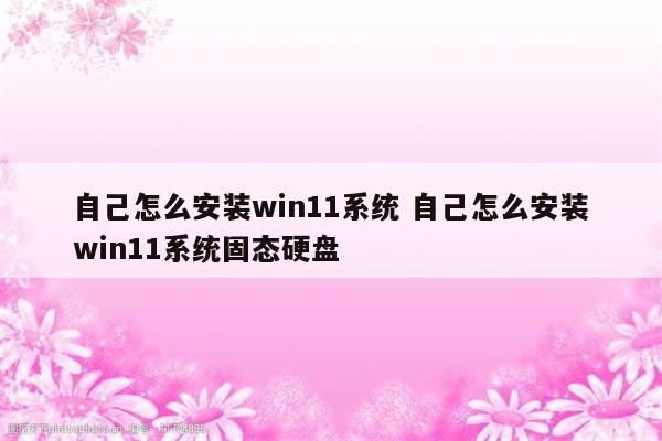自己怎么安装win11系统 自己怎么安装win11系统固态硬盘