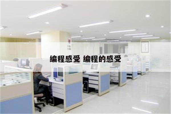 编程感受 编程的感受