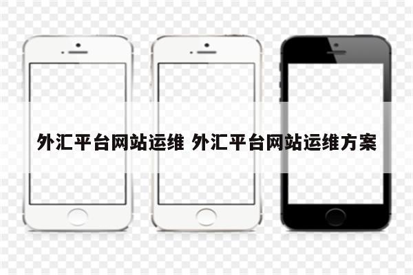 外汇平台网站运维 外汇平台网站运维方案