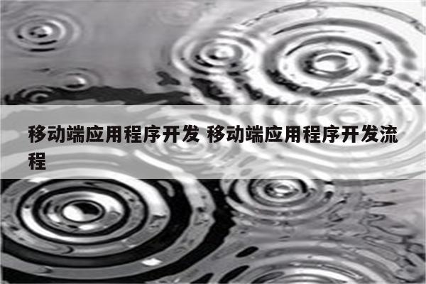 移动端应用程序开发 移动端应用程序开发流程
