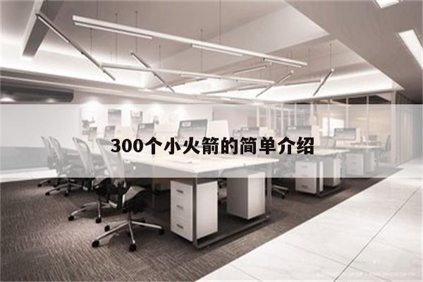 300个小火箭的简单介绍