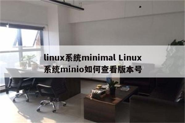 linux系统minimal Linux系统minio如何查看版本号