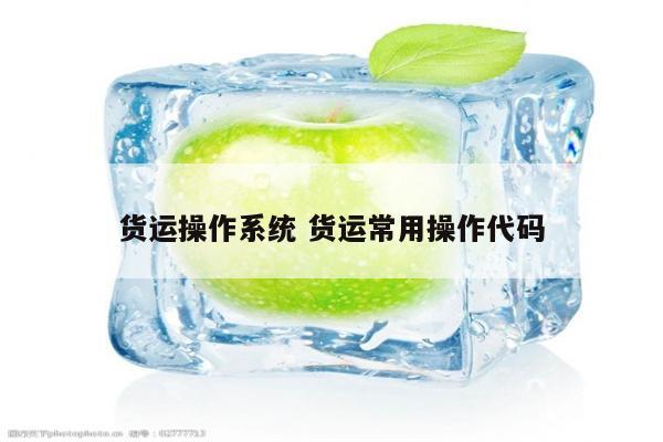 货运操作系统 货运常用操作代码