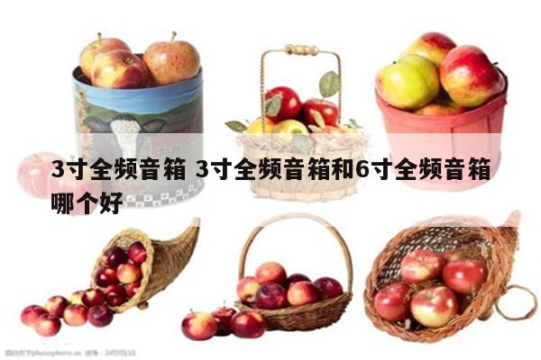 3寸全频音箱 3寸全频音箱和6寸全频音箱哪个好