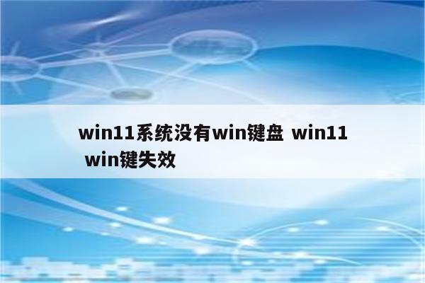 win11系统没有win键盘 win11 win键失效