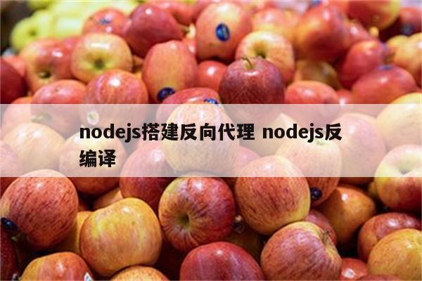 nodejs搭建反向代理 nodejs反编译